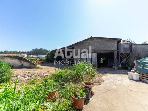 Quinta  Venda em Castêlo da Maia,Maia