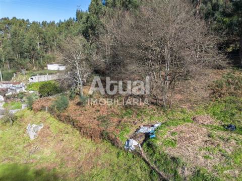 Terreno  Venda em Santa Eulália,Vizela