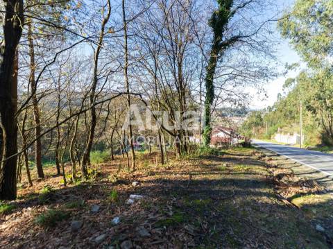 Terreno  Venda em Santa Eulália,Vizela
