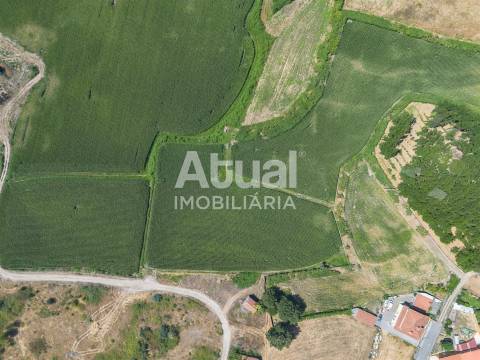 Terreno Misto  Venda em Sanfins Lamoso Codessos,Paços de Ferreira
