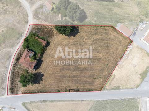 Terreno Misto  Venda em Sanfins Lamoso Codessos,Paços de Ferreira