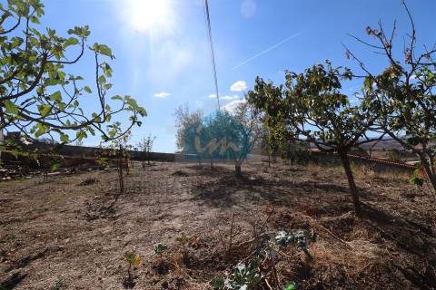 Vivenda com áreas generosas composta por dois apartamentos T3 e dois armazéns no r/c