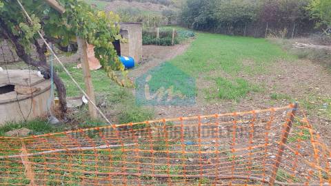 Terreno para venda em Mirandela