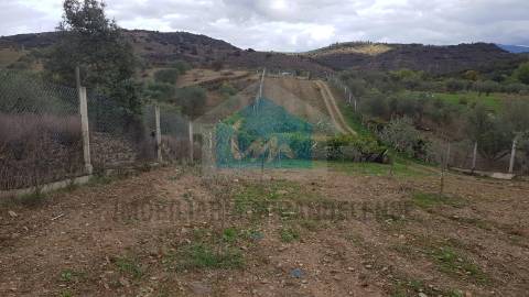 Terreno para venda em Mirandela
