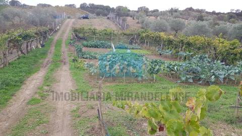 Terreno para venda em Mirandela