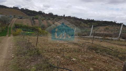 Terreno para venda em Mirandela