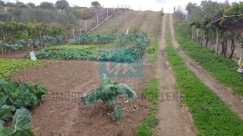 Terreno para venda em Mirandela