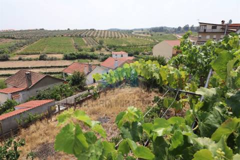 Moradia V4 para venda em Vila Flor com loja comercial no r/c