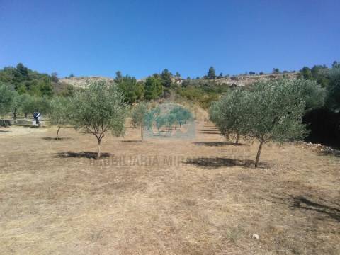 Moradia T3 Venda em Candoso e Carvalho de Egas,Vila Flor