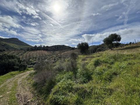 Terreno  Venda em Vilas Boas e Vilarinho das Azenhas,Vila Flor