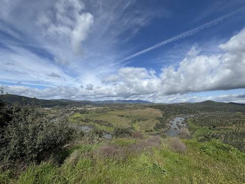 Terreno  Venda em Vilas Boas e Vilarinho das Azenhas,Vila Flor