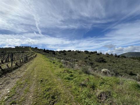 Terreno  Venda em Vilas Boas e Vilarinho das Azenhas,Vila Flor