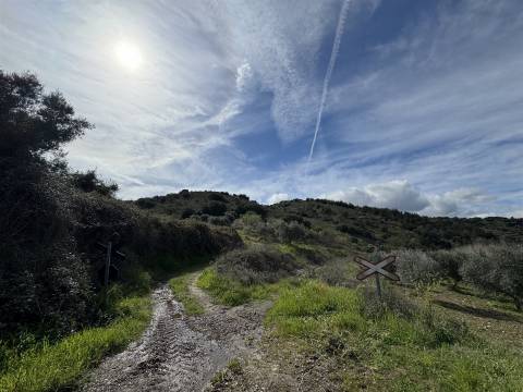 Terreno  Venda em Vilas Boas e Vilarinho das Azenhas,Vila Flor