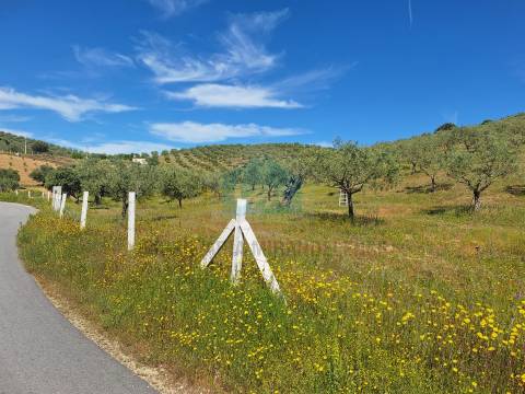 Quinta para venda em Vila Flor
