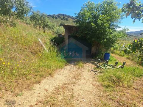 Quinta para venda em Vila Flor