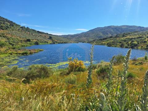 Quinta para venda em Vila Flor