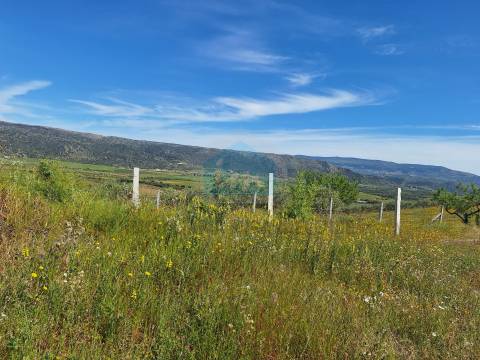 Quinta para venda em Vila Flor