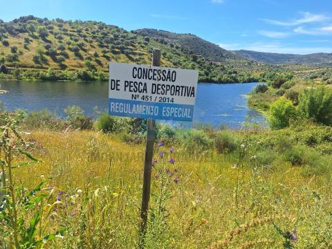 Quinta para venda em Vila Flor