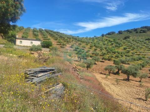 Quinta para venda em Vila Flor