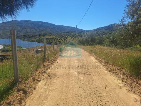 Quinta para venda em Vila Flor
