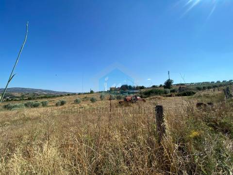 Terreno para venda com projeto de arquitetura aprovado em Carvalhais - Mirandela.