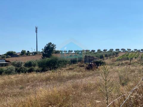 Terreno para venda com projeto de arquitetura aprovado em Carvalhais - Mirandela.