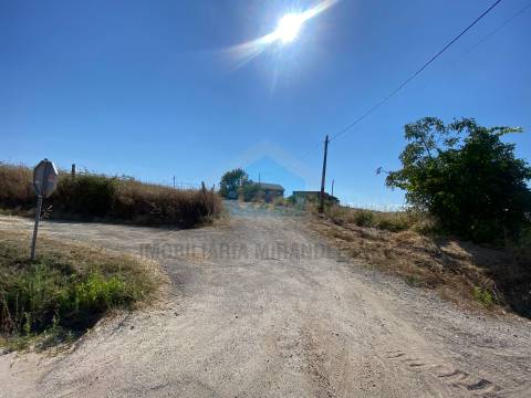 Terreno para venda com projeto de arquitetura aprovado em Carvalhais - Mirandela.