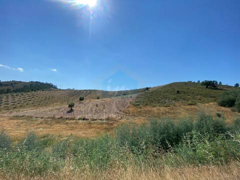 Terreno rústico para venda em São Salvador - Mirandela