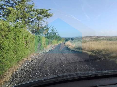 Terreno para venda com estufa em Carvalhais