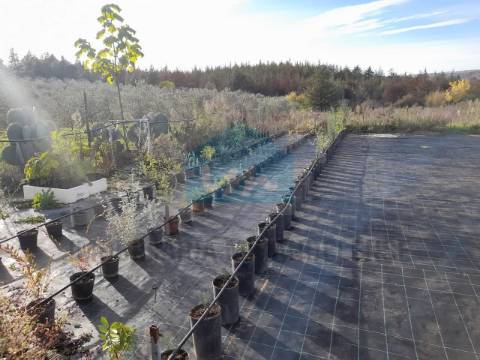 Terreno para venda com estufa em Carvalhais