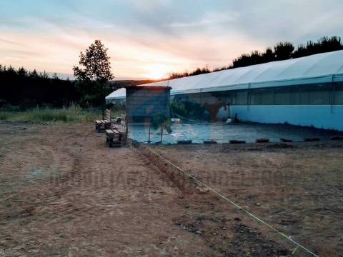 Terreno para venda com estufa em Carvalhais