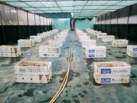 Terreno para venda com estufa em Carvalhais