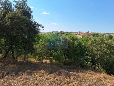 Terreno com 10.360m² para venda com viabilidade de construção de uma moradia