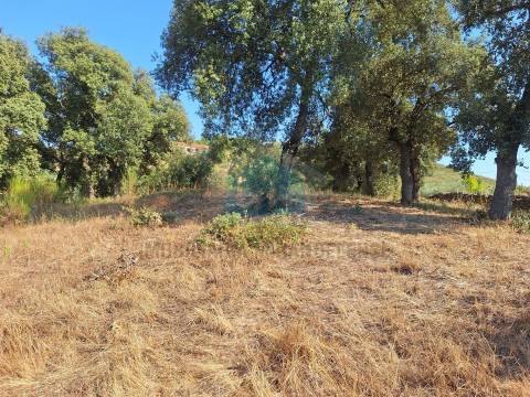 Terreno com 10.360m² para venda com viabilidade de construção de uma moradia