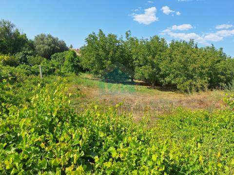 Terreno com 10.360m² para venda com viabilidade de construção de uma moradia