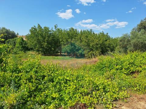 Terreno com 10.360m² para venda com viabilidade de construção de uma moradia