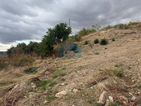 Terreno para Construção com Vista para o Rio