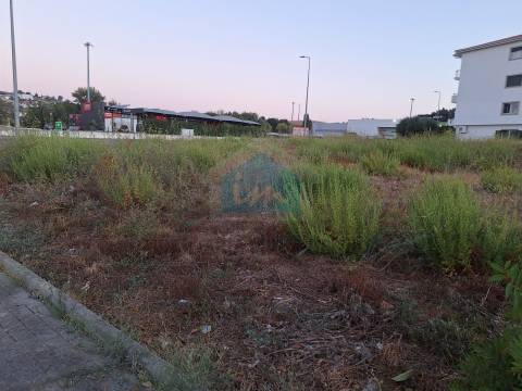 Lote para Venda em Telheiros, Mirandela