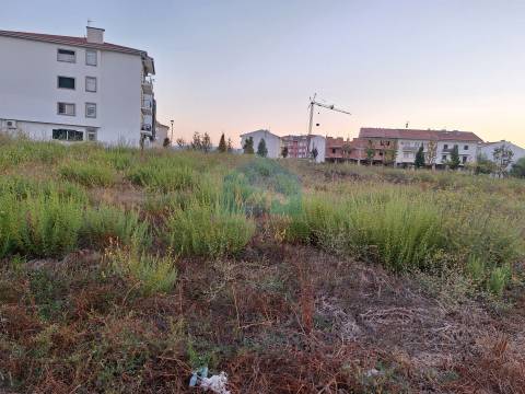 Lote para Venda em Telheiros, Mirandela