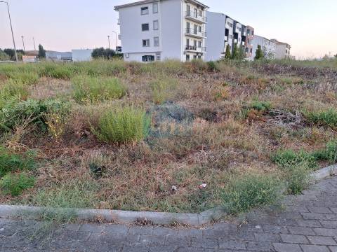 Lote para Venda em Telheiros, Mirandela
