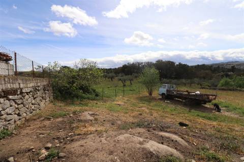 Quinta para venda em Vale de Telhas - Mirandela.