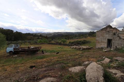 Quinta para venda em Vale de Telhas - Mirandela.