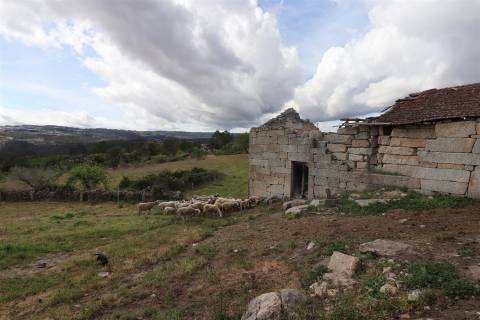 Quinta para venda em Vale de Telhas - Mirandela.