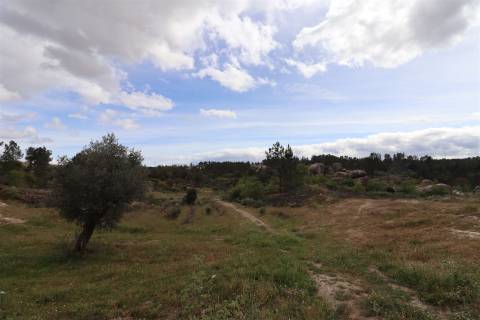 Quinta para venda em Vale de Telhas - Mirandela.