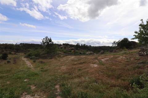 Quinta para venda em Vale de Telhas - Mirandela.