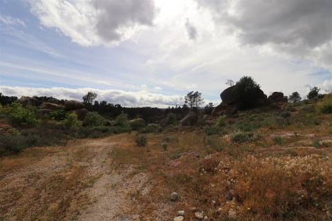 Quinta para venda em Vale de Telhas - Mirandela.