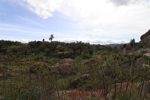 Quinta para venda em Vale de Telhas - Mirandela.