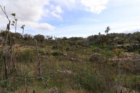 Quinta para venda em Vale de Telhas - Mirandela.