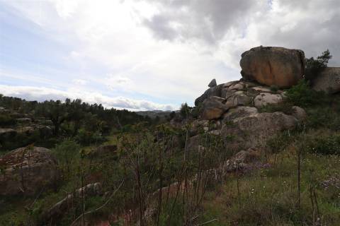 Quinta para venda em Vale de Telhas - Mirandela.
