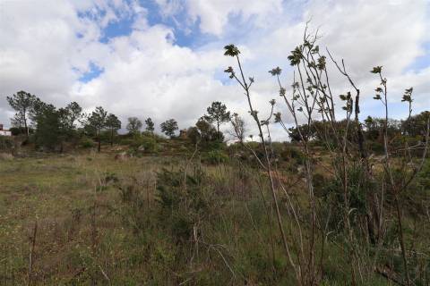 Quinta para venda em Vale de Telhas - Mirandela.